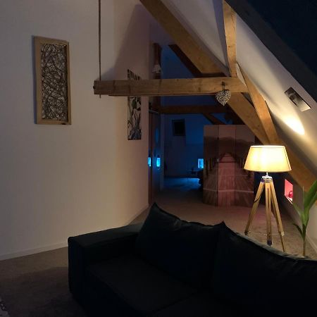 Nid De Cigogne Apartment Илаузорн Екстериор снимка