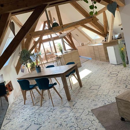 Nid De Cigogne Apartment Илаузорн Екстериор снимка