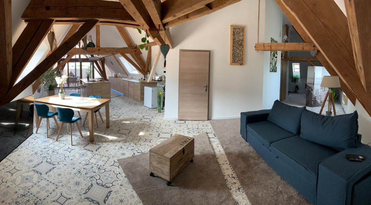 Nid De Cigogne Apartment Илаузорн Екстериор снимка