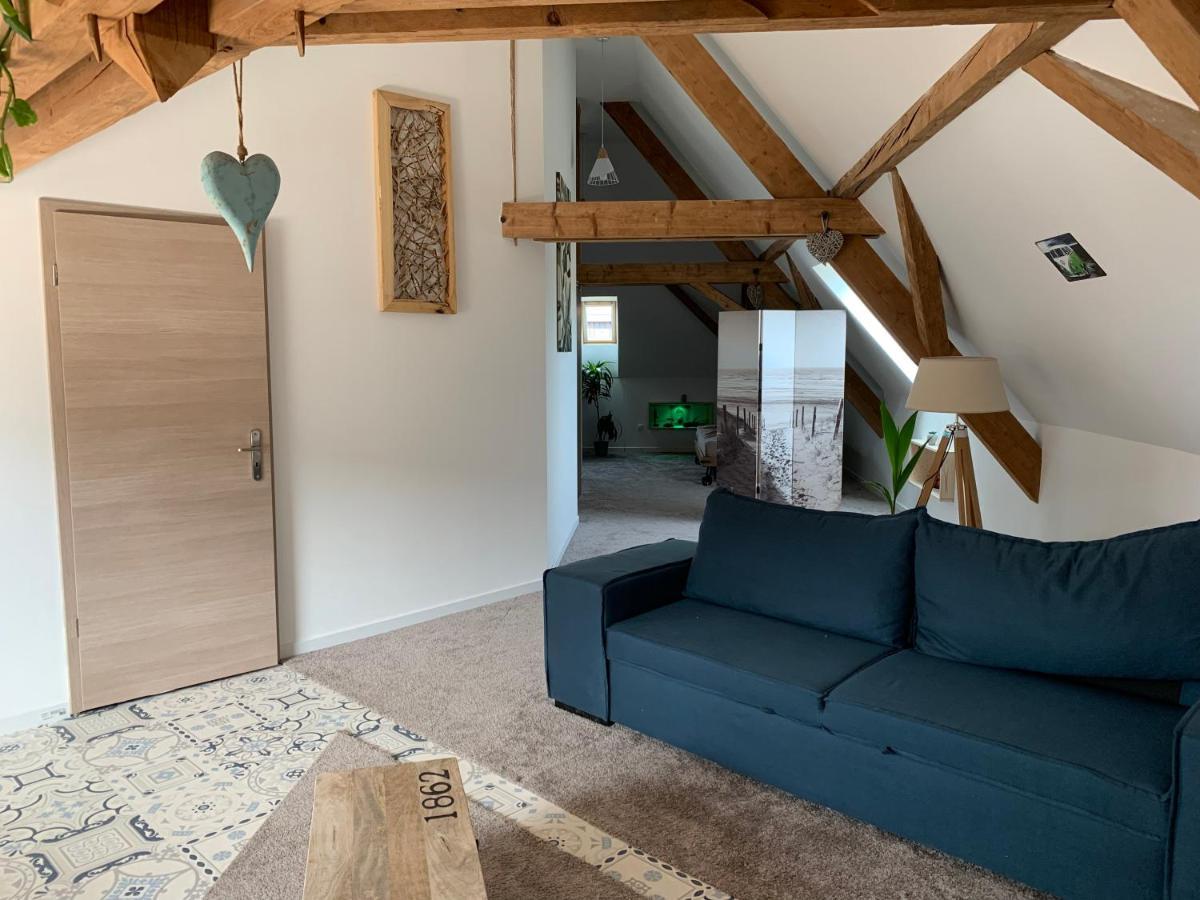 Nid De Cigogne Apartment Илаузорн Екстериор снимка